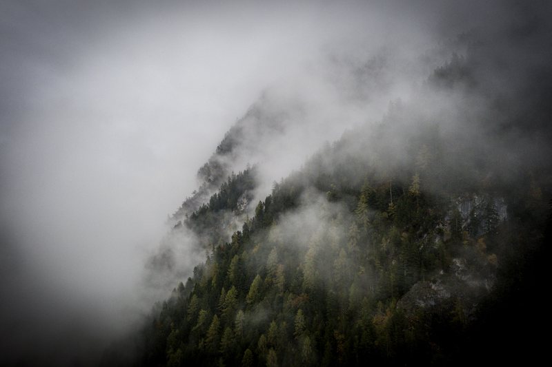 Bewaldeter Berg im Nebel